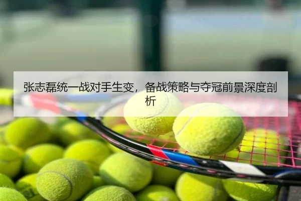 zhang-zhi-lei-tong-yi-zhan-dui-shou-sheng-bian-bei-zhan-ce-lve-yu-duo-guan-qian-jing-shen-du-pou-xi-3-578.jpg