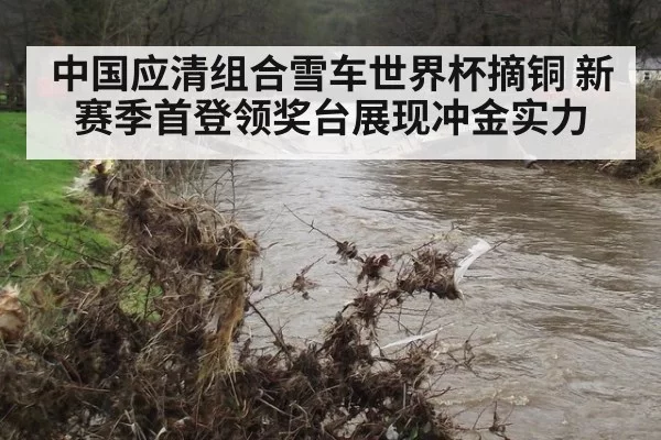 中国应清组合雪车世界杯摘铜 新赛季首登领奖台展现冲金实力