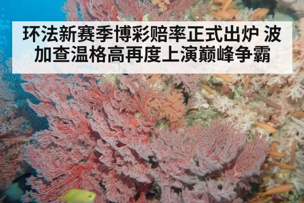 环法新赛季博彩赔率正式出炉 波加查温格高再度上演巅峰争霸