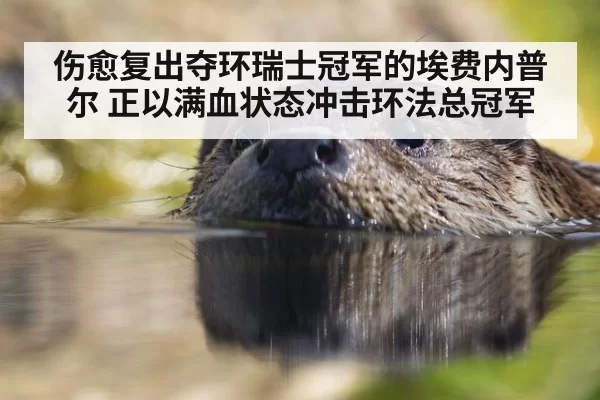 伤愈复出夺环瑞士冠军的埃费内普尔 正以满血状态冲击环法总冠军